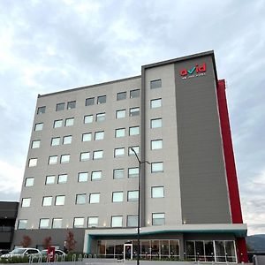 Avid Hotels - Guadalajara Av Vallarta Pte By Ihg